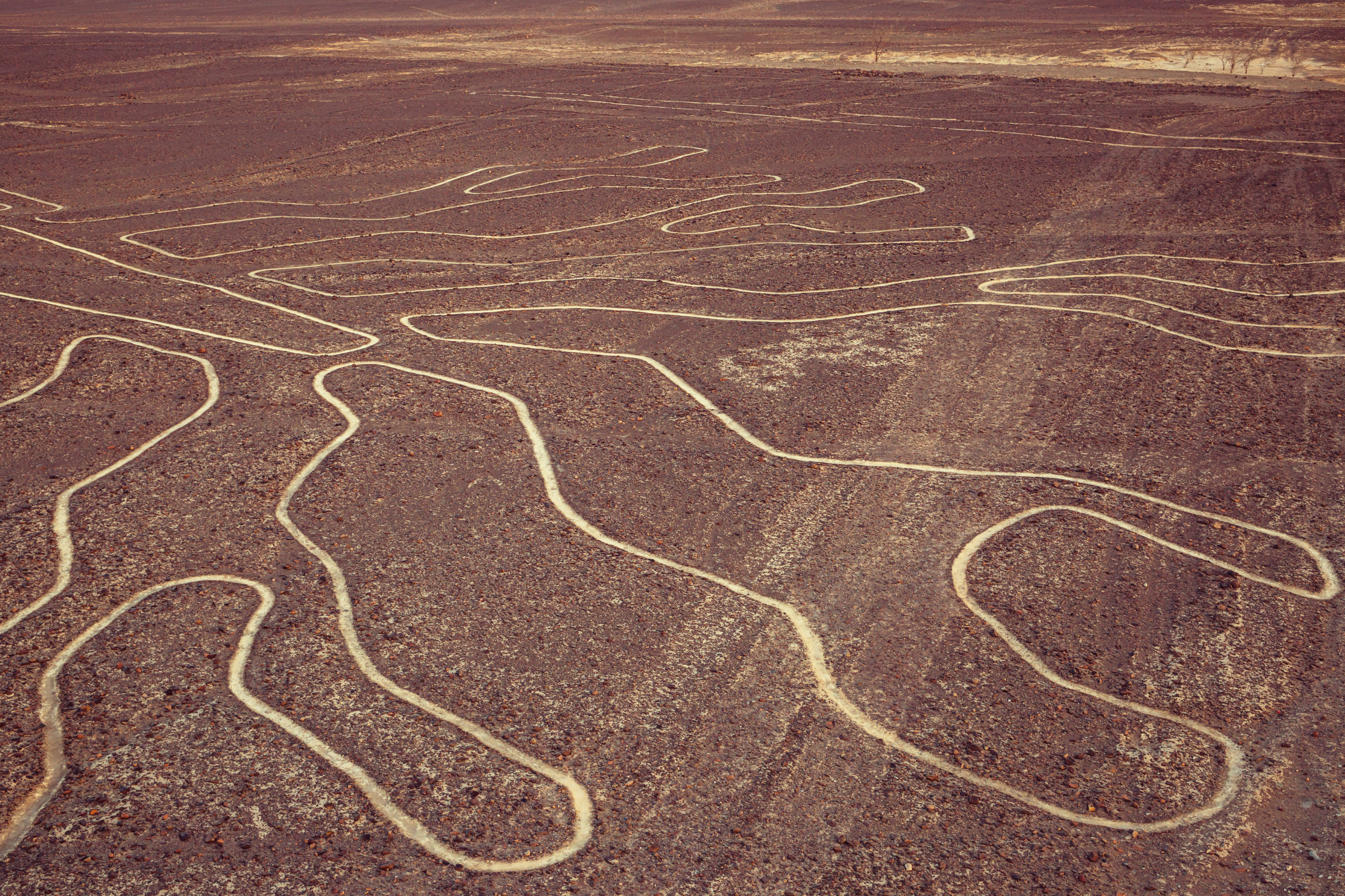 100 nazca lines.webp